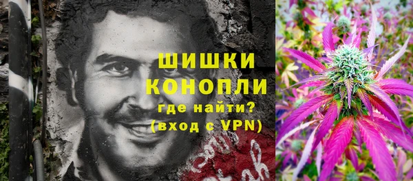 прущие грибы Красноперекопск
