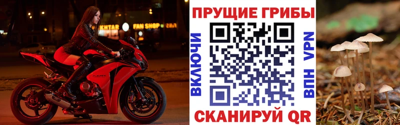 Псилоцибиновые грибы GOLDEN TEACHER  Липки 